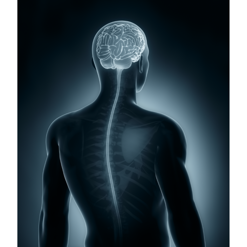 brain & spinal injury